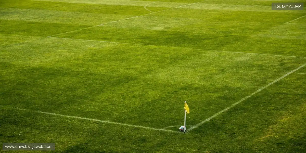 📱 观赛体验全面进化，让你爱不释手，热血即刻引爆！❤️